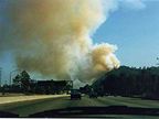 Griffith Park fire...